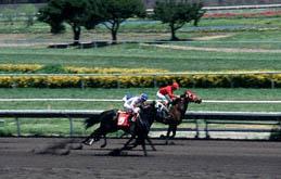 Astuces pour Gagner dans les Courses  Evnements