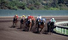 Astuces pour Gagner dans les Courses Trios Urbains